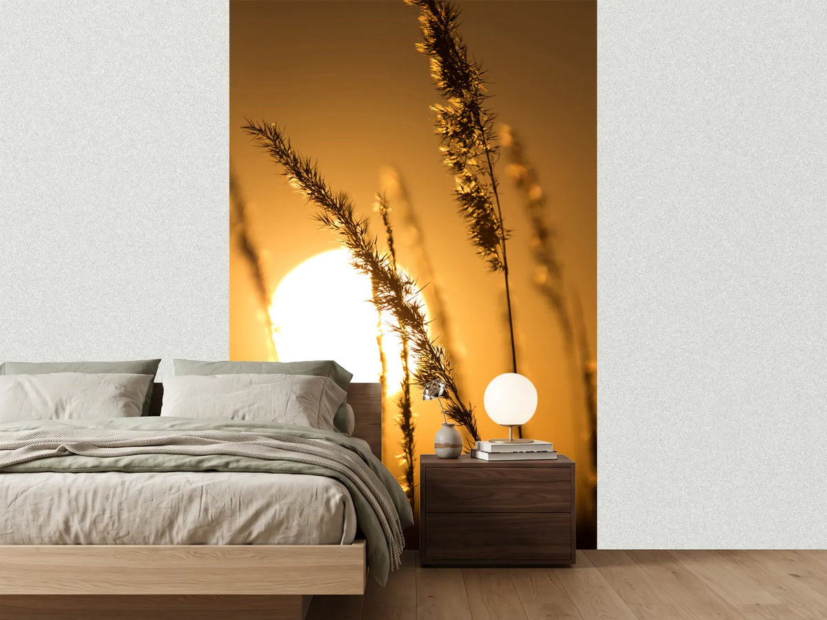 photo-wallpaper-romantic-sunset
