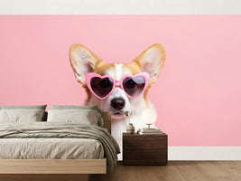 photo-wallpaper-adorable-corgi-wearing-pink-heart-shaped-sunglasses-on-pastel-background