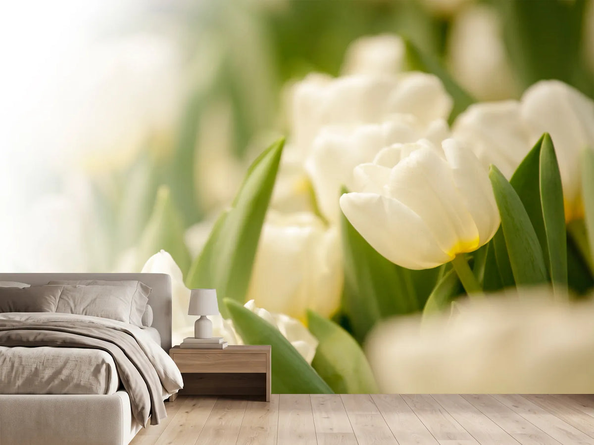 photo-wallpaper-tulips-perspective