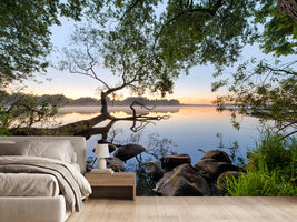 photo-wallpaper-landscape