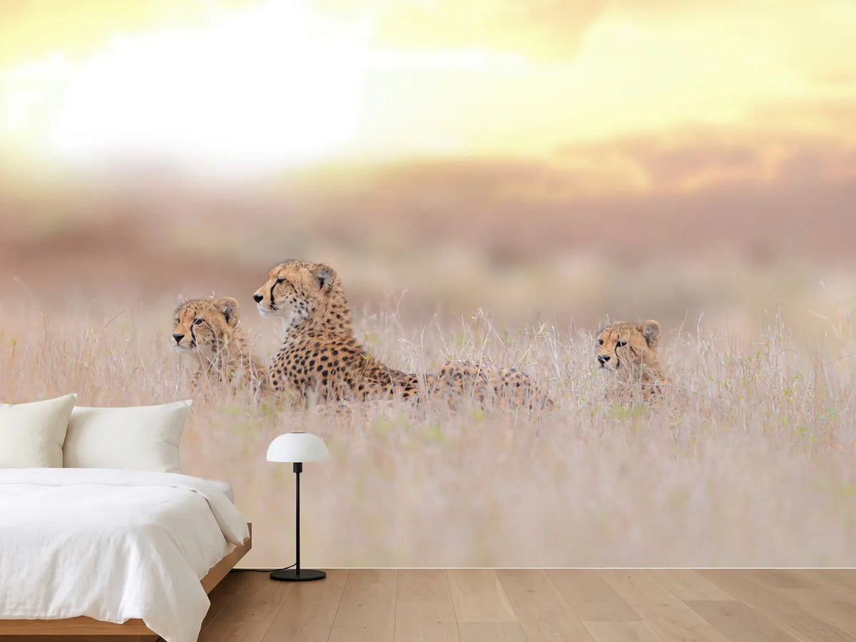 photo-wallpaper-cheetah-family-x