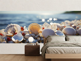 photo-wallpaper-seashell-serenity-2