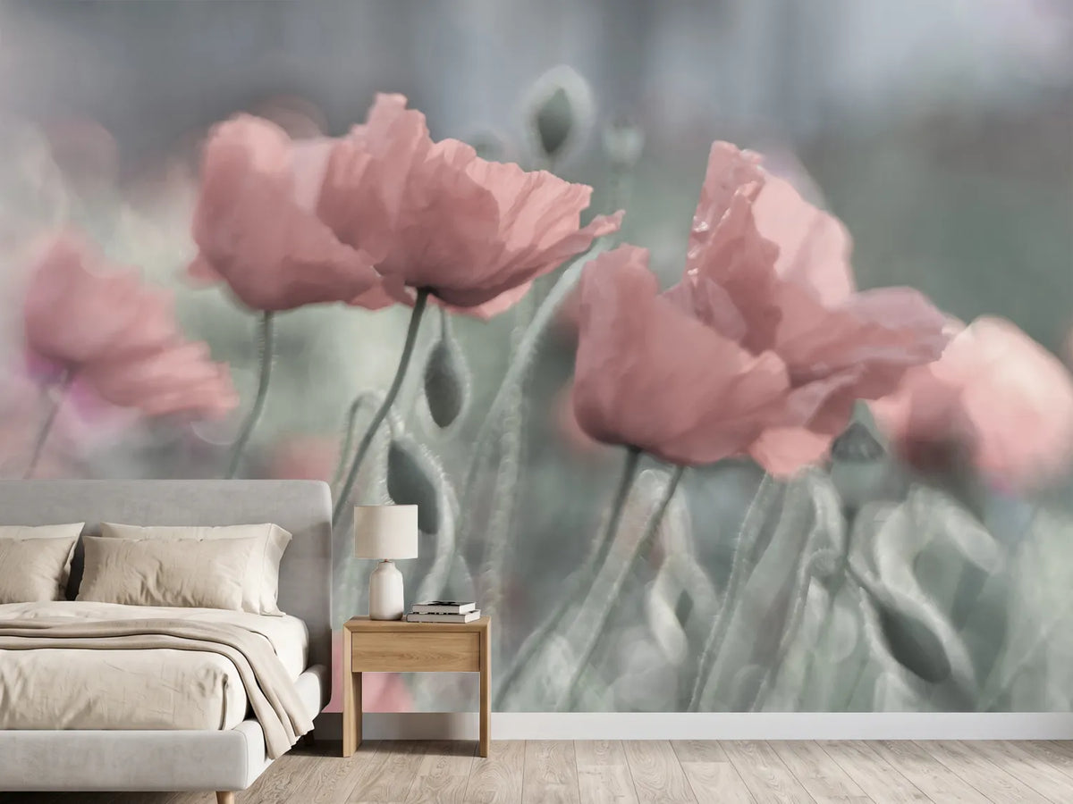 photo-wallpaper-softly-x