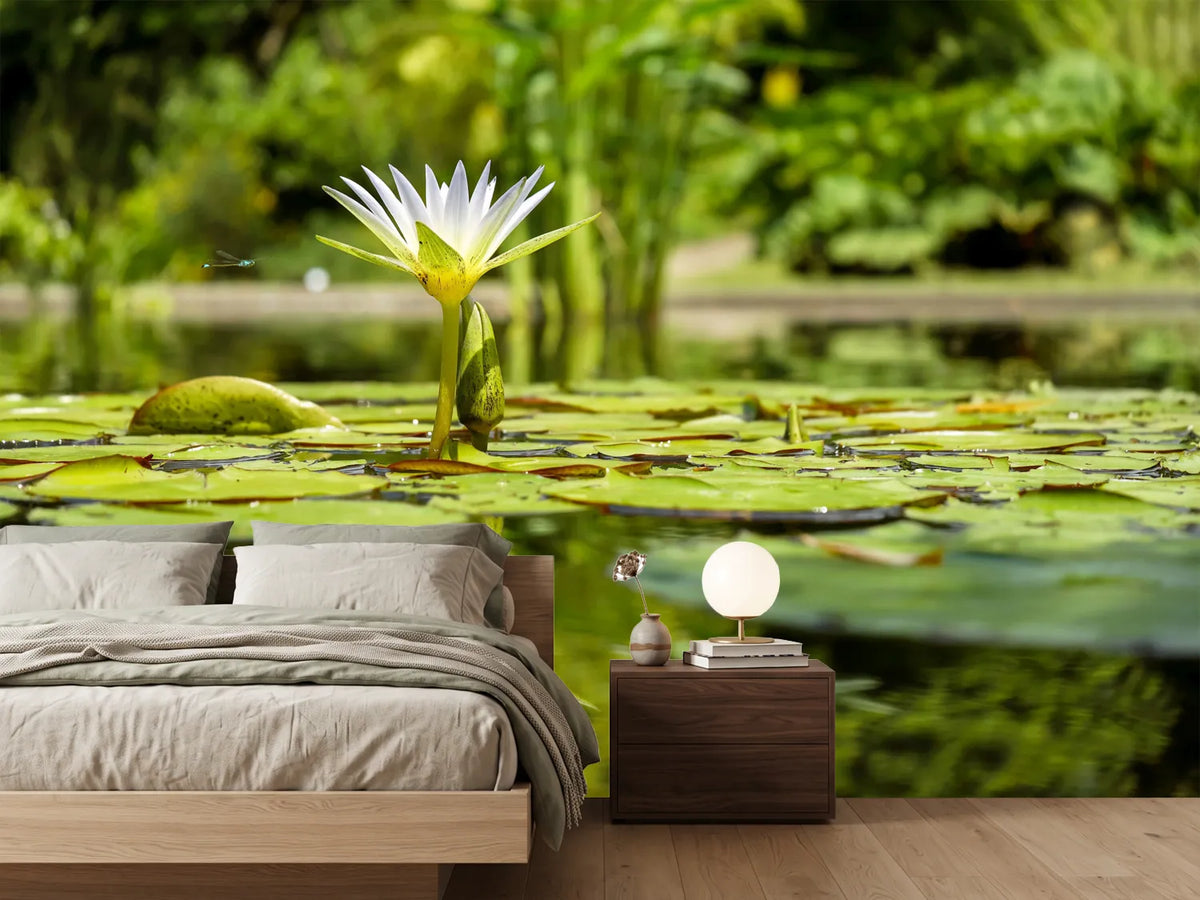 photo-wallpaper-water-lily-in-nature