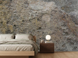 photo-wallpaper-geological-fossil-patterns