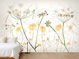 photo-wallpaper-delicate-botanical-sketches