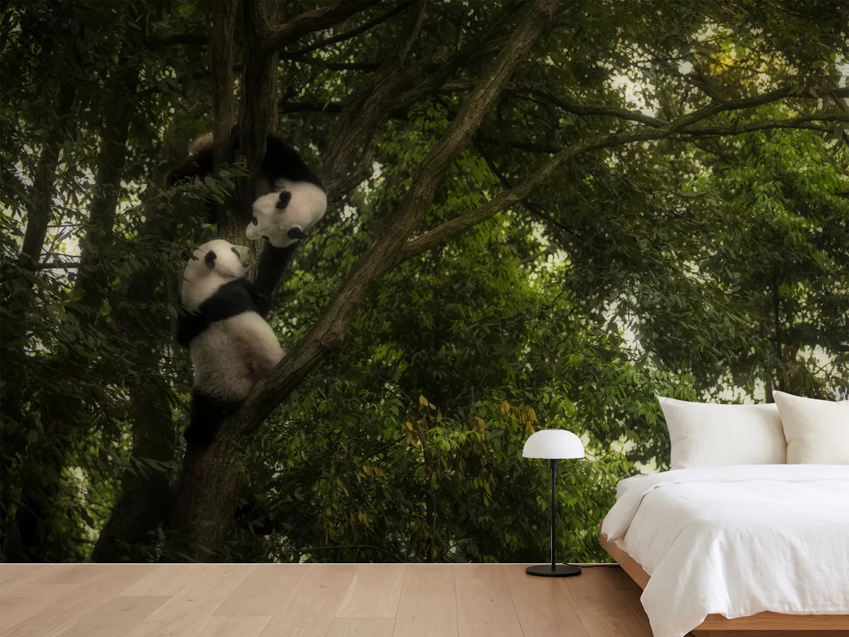 photo-wallpaper-panda-x