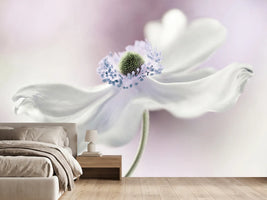 photo-wallpaper-anemone-breeze