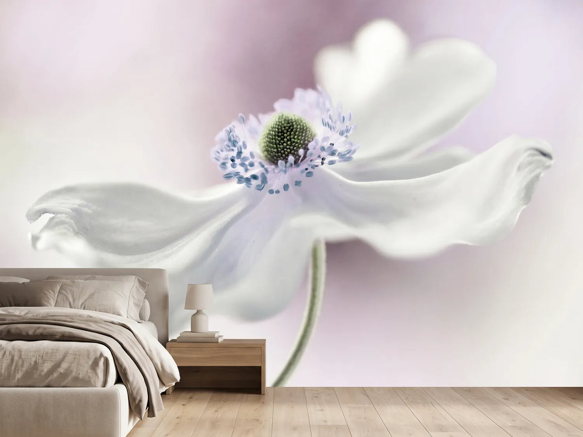 photo-wallpaper-anemone-breeze