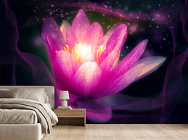photo-wallpaper-lily-in-the-light-play