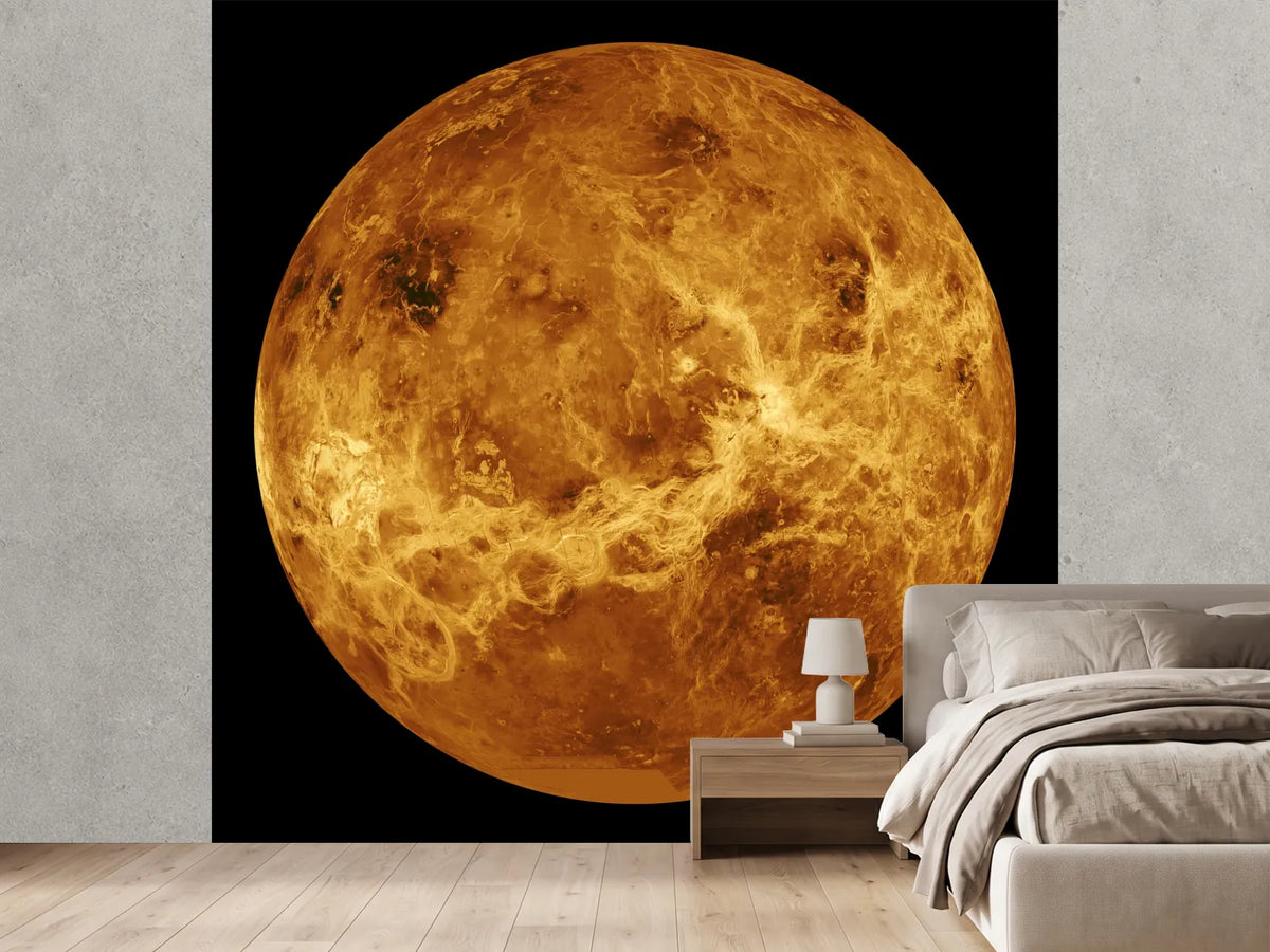 photo-wallpaper-the-venus