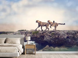 photo-wallpaper-two-cheetahs
