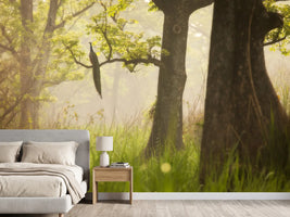 photo-wallpaper-peacock-in-misty-forest