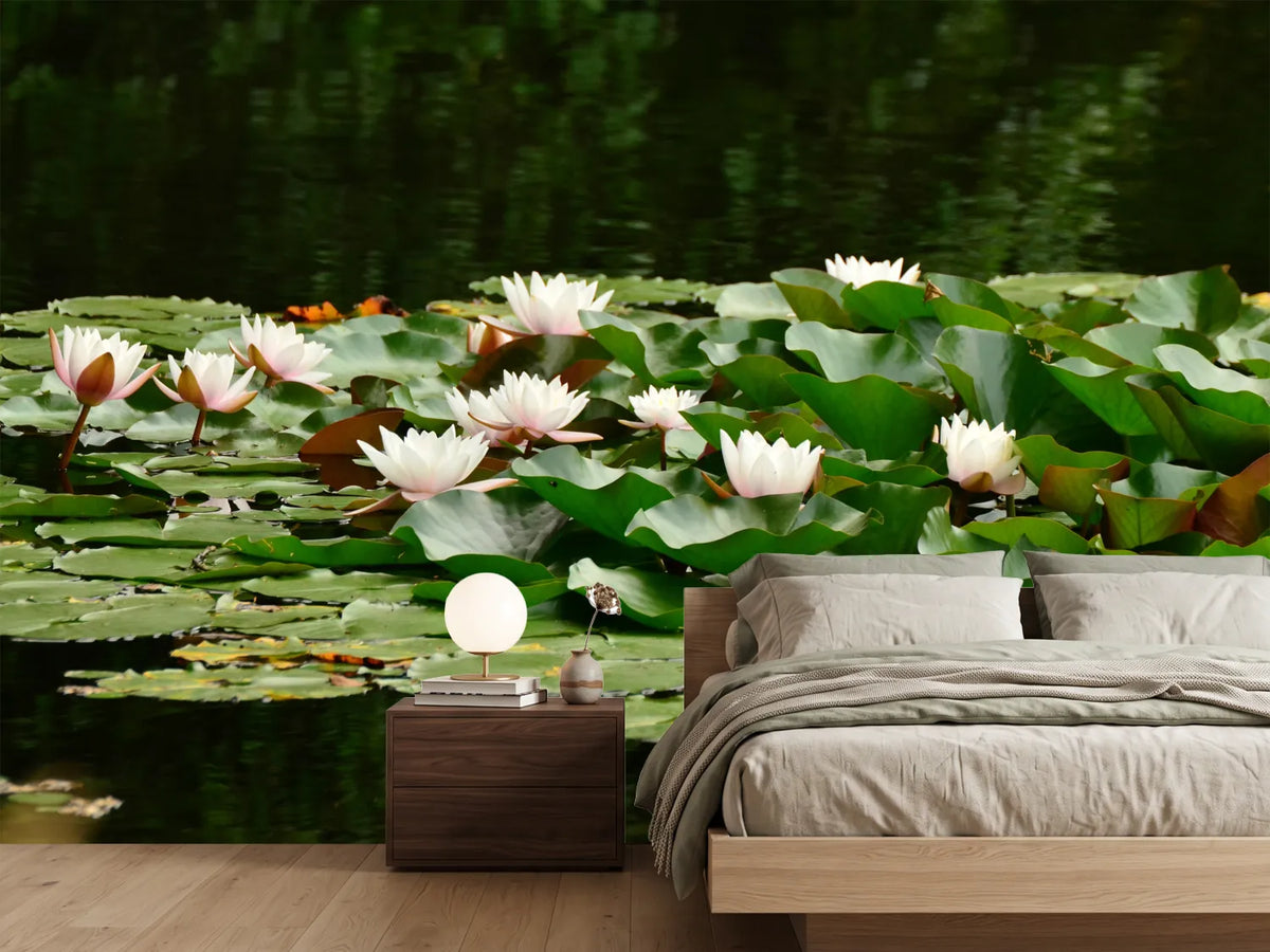 photo-wallpaper-a-field-full-of-water-lilies
