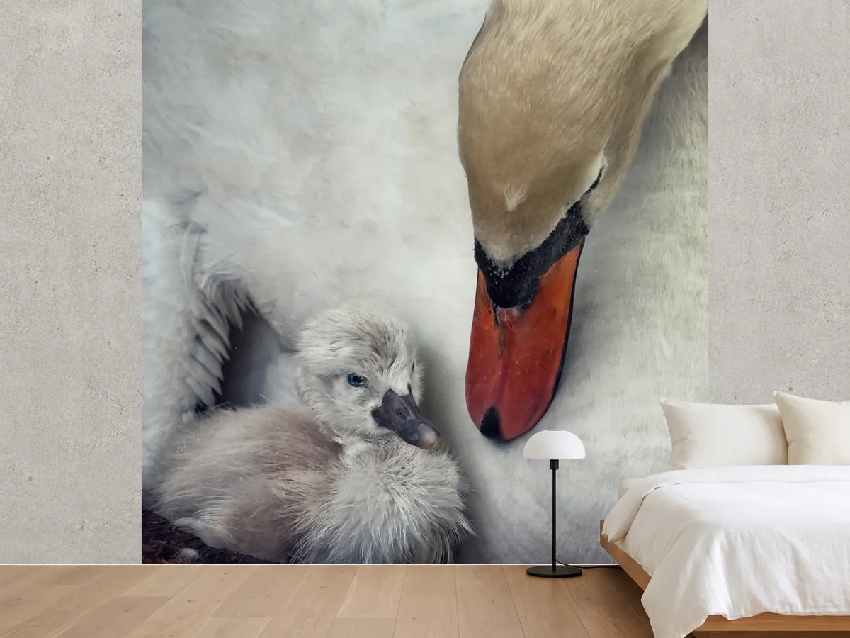 photo-wallpaper-close-to-you