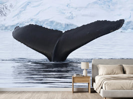 photo-wallpaper-the-humpback-whale