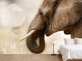 photo-wallpaper-portrait-of-an-elephant