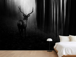 photo-wallpaper-stag
