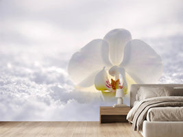photo-wallpaper-the-orchids-bloom