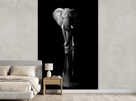 photo-wallpaper-elephant-xsa