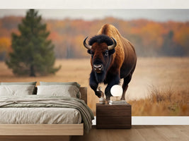photo-wallpaper-bison-charging-through-golden-autumn-prairie-grass