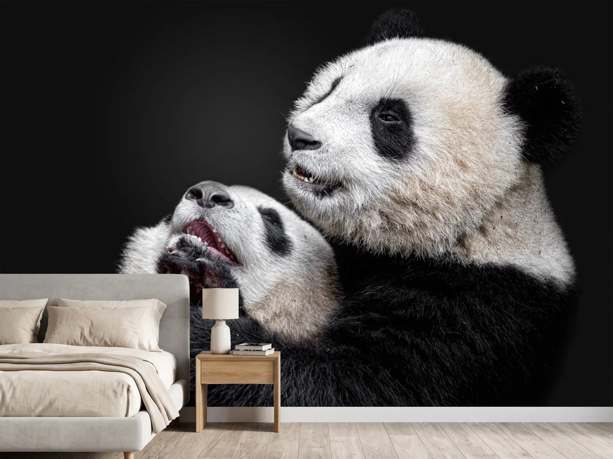 photo-wallpaper-pandas-x