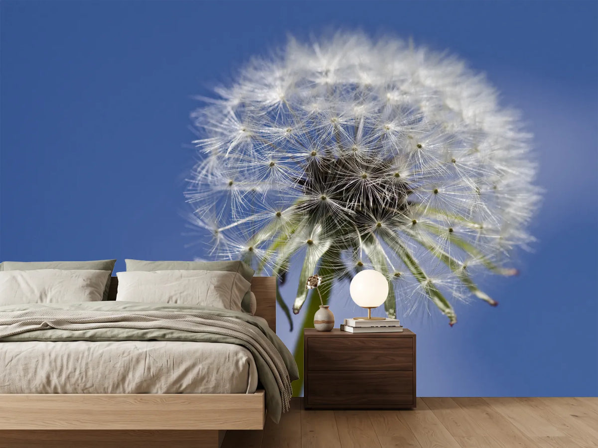 photo-wallpaper-the-dandelion-in-xxl