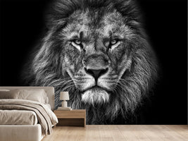 photo-wallpaper-king-face-bw