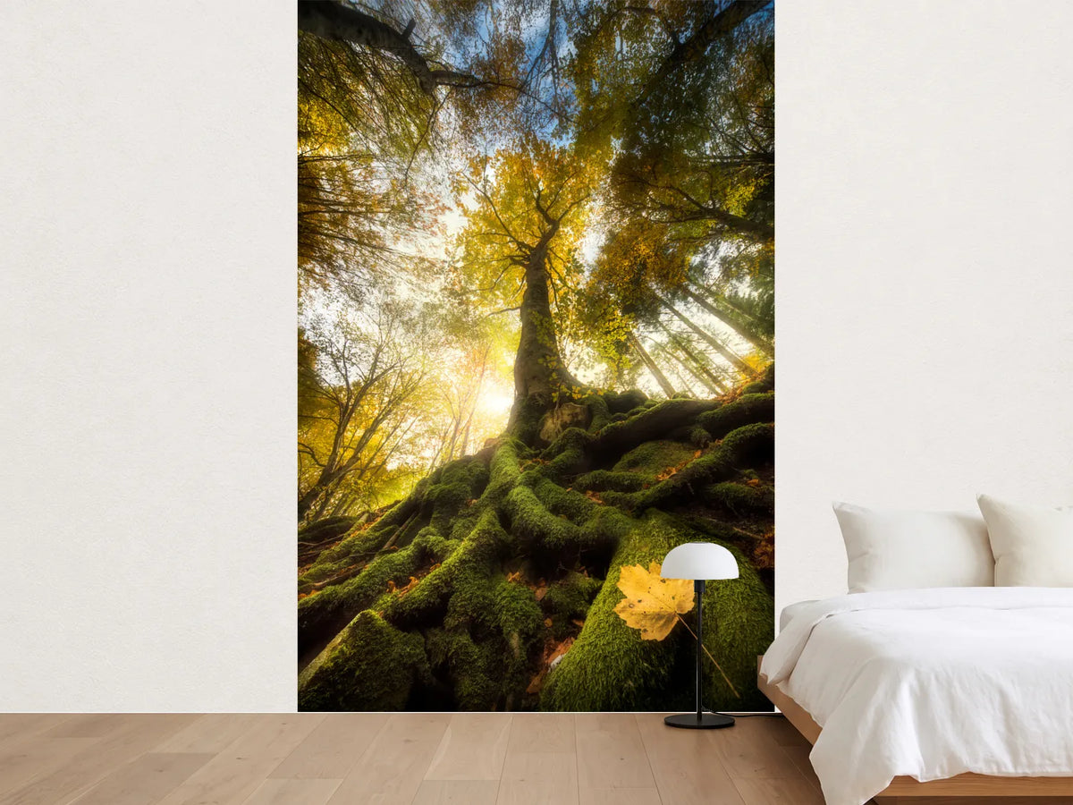 photo-wallpaper-the-goodbye-of-a-leaf