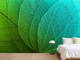 photo-wallpaper-macro-leaves-background