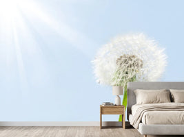 photo-wallpaper-dandelion-in-sunbeam