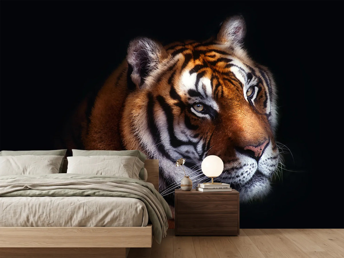 photo-wallpaper-tiger-x