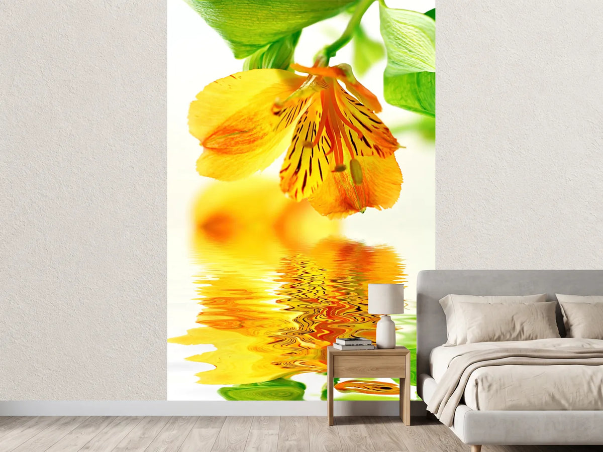 photo-wallpaper-flowing-orchid-flower