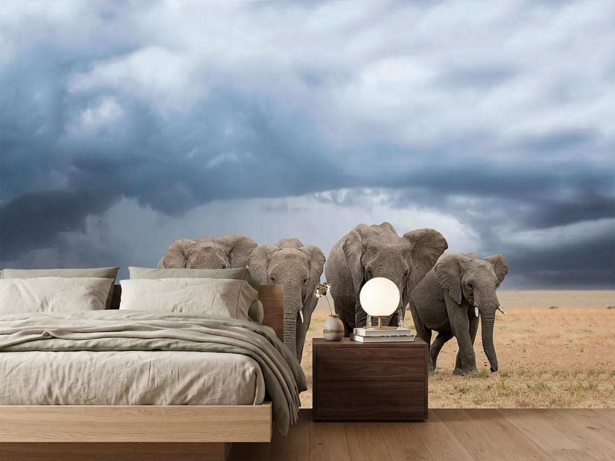 photo-wallpaper-elephant-walk-x