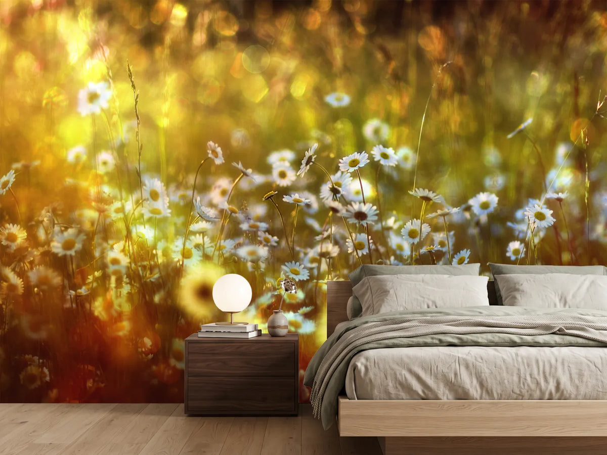 photo-wallpaper-wonderland