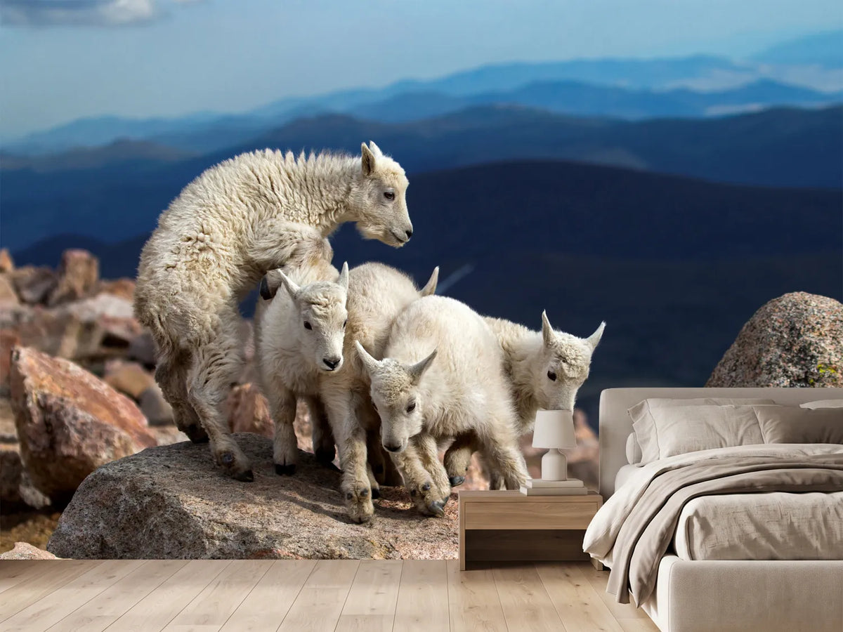 photo-wallpaper-baby-goats-at-play-x