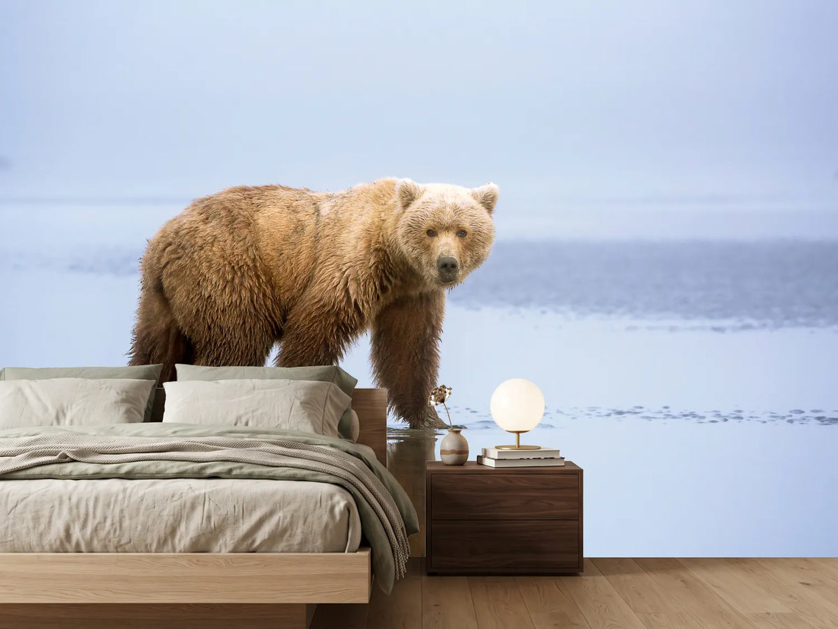 photo-wallpaper-the-bear-walk-x