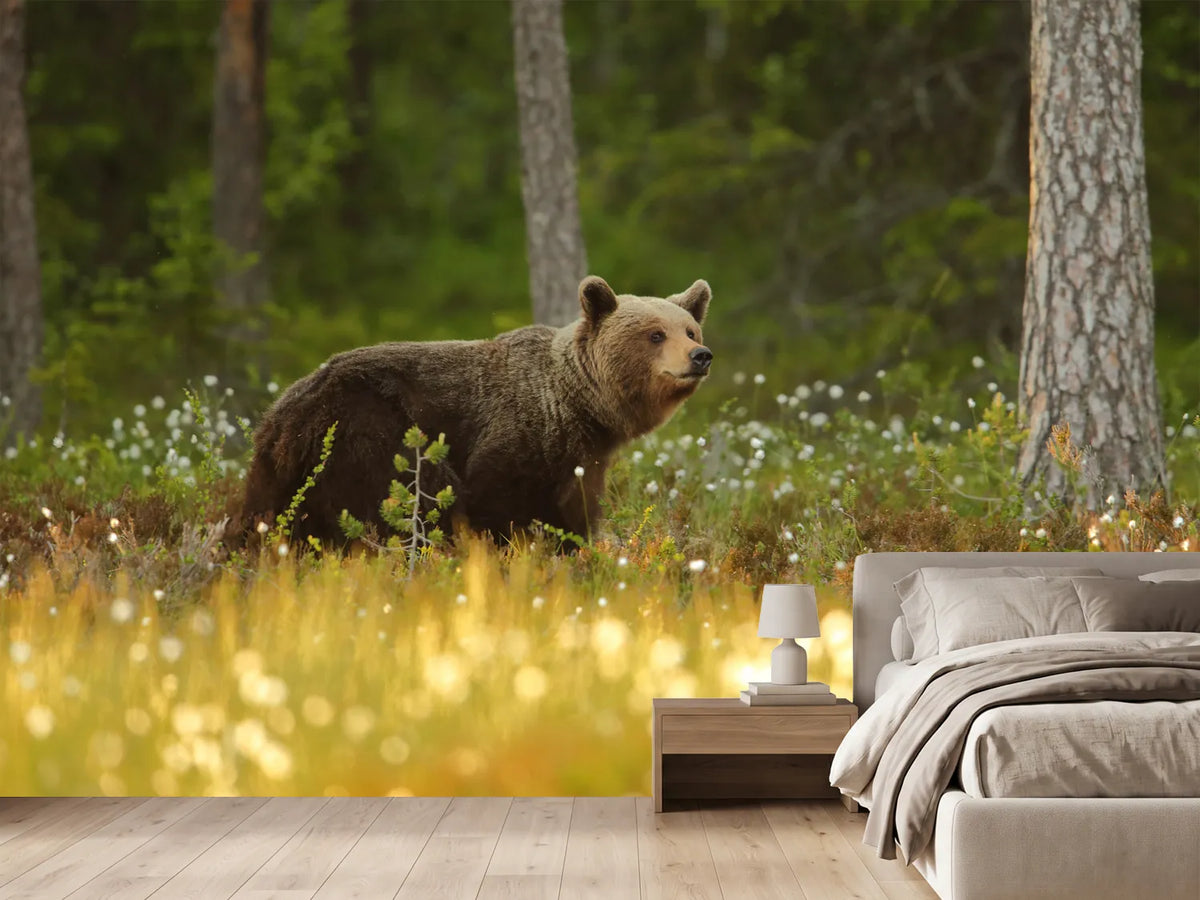 photo-wallpaper-brown-bear-x