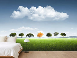 photo-wallpaper-seven-tree
