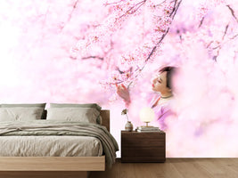 photo-wallpaper-sakura