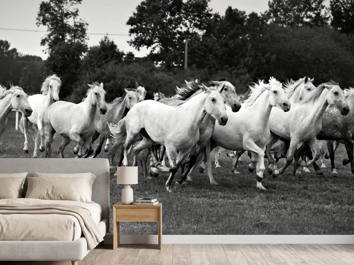 photo-wallpaper-the-mustang-herd