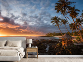 photo-wallpaper-return-to-paradise