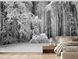 photo-wallpaper-quiet-snowy-forest