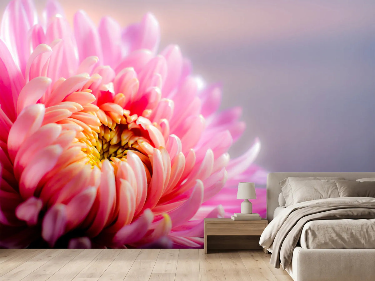 photo-wallpaper-macro-chrysanthemum