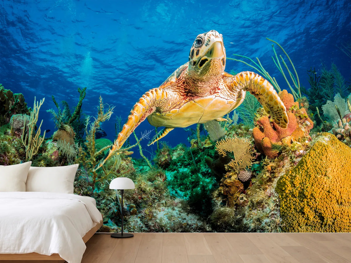 photo-wallpaper-turtle-in-the-reef