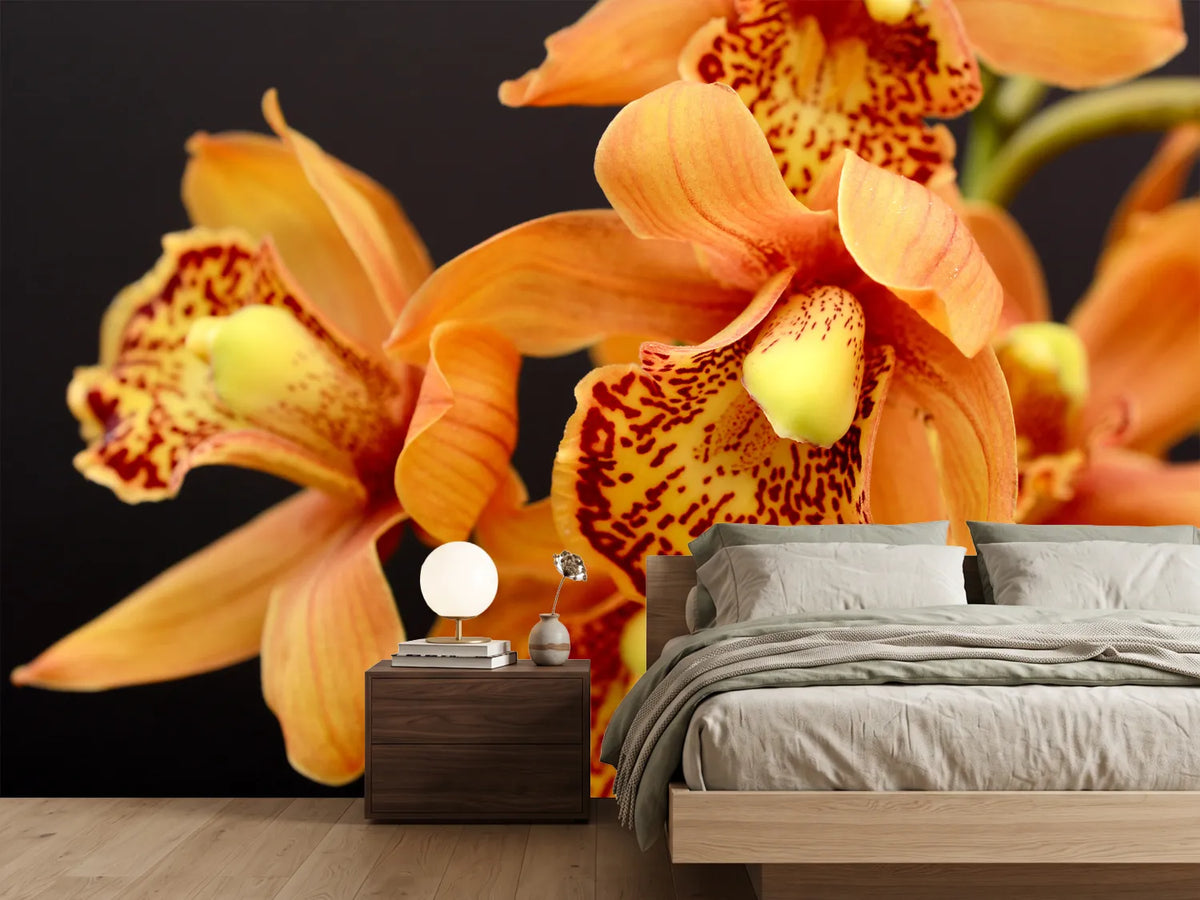 photo-wallpaper-orchids-with-orange-flowers