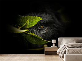 photo-wallpaper-keeping-secrets-x