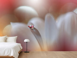 photo-wallpaper-ethereal-petal-drop