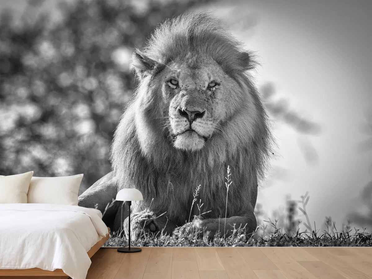 photo-wallpaper-monochromatic-lion-king-x