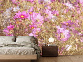 photo-wallpaper-the-jewelry-basket-cosmea